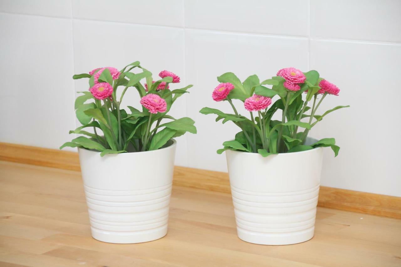 Apartamento Limon 무르시아 외부 사진